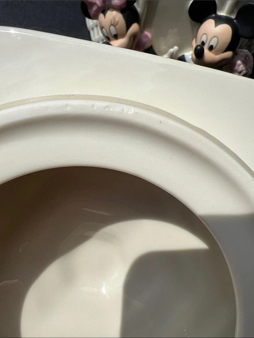 Lenox Disney Mickey & Minnie's Garden Picnic Cookie Jar Canister with Lid